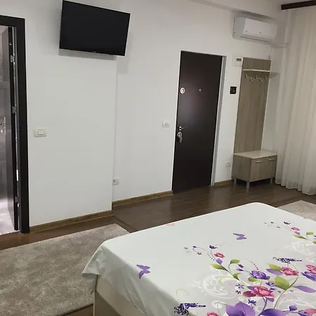 Vlh Mansion 康斯坦察
